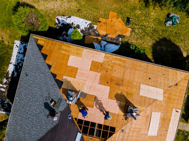 Best Flat Roof Repair Services  in Bacliff, TX